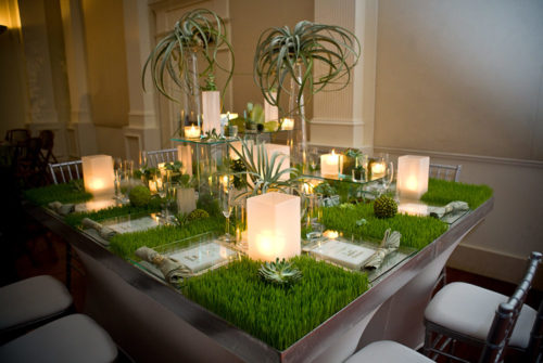 Elegant Table Decorated with Succulents and Grass | Legendary Events