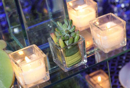 Small Succulent in a Glass with Candles | Legendary Events
